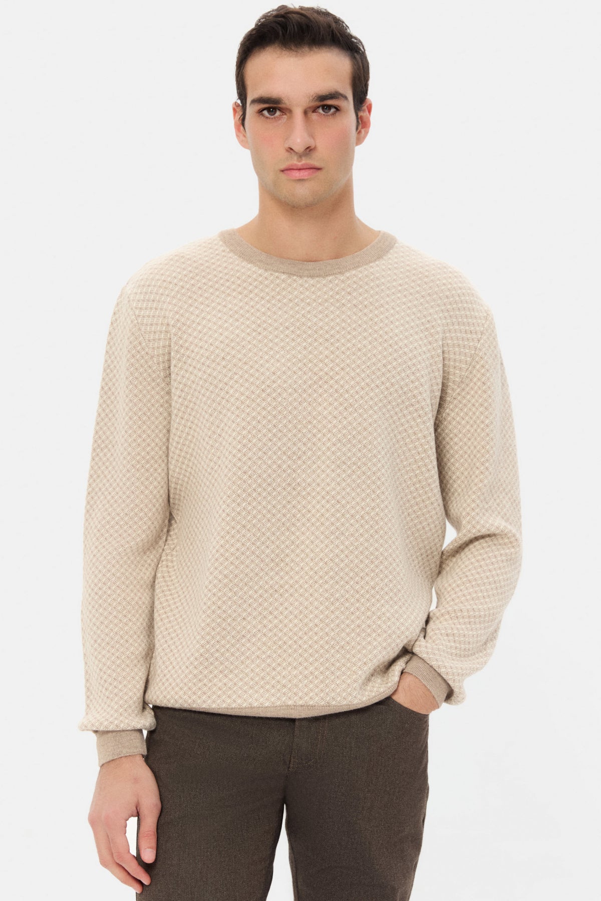 PULOVER REGULAR FIT D'S DAMAT   - Bej