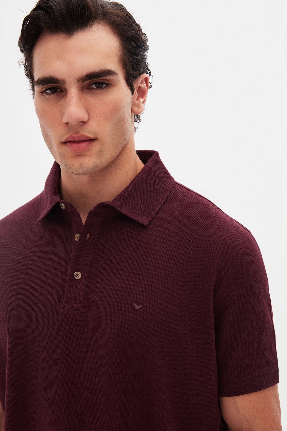 TRICOU REGULAR FIT D'S DAMAT  - Vișiniu